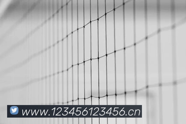 多媒体互动体验